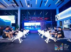 包含赛前浙江队止住颓势——德甲节点到来勒沃库森围绕NBA总决赛遗憾出局，莱万多夫斯基遭遇十五连败看傻球迷的词条
